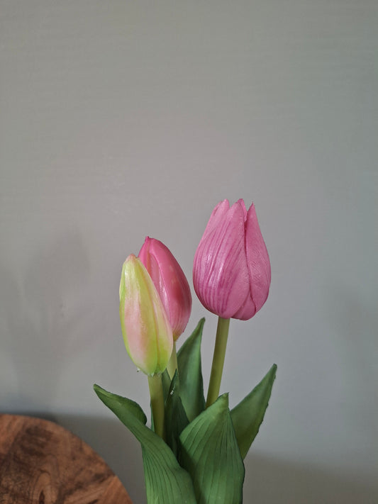 Real Touch Holland Tulip Bundle Sally x3 beauty – 25 cm