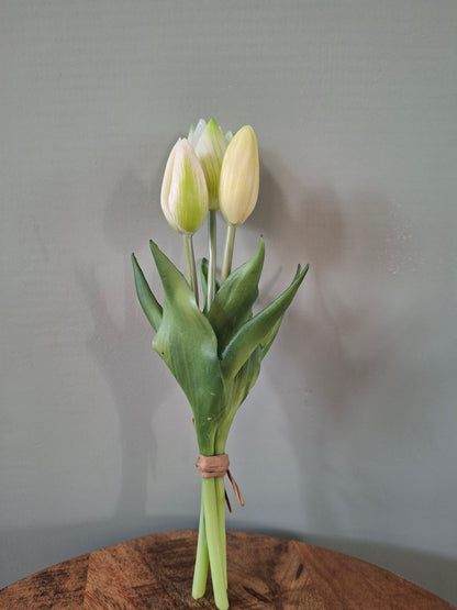 Real Touch Holland Tulip Bundle Sally x3 cream – 25 cm