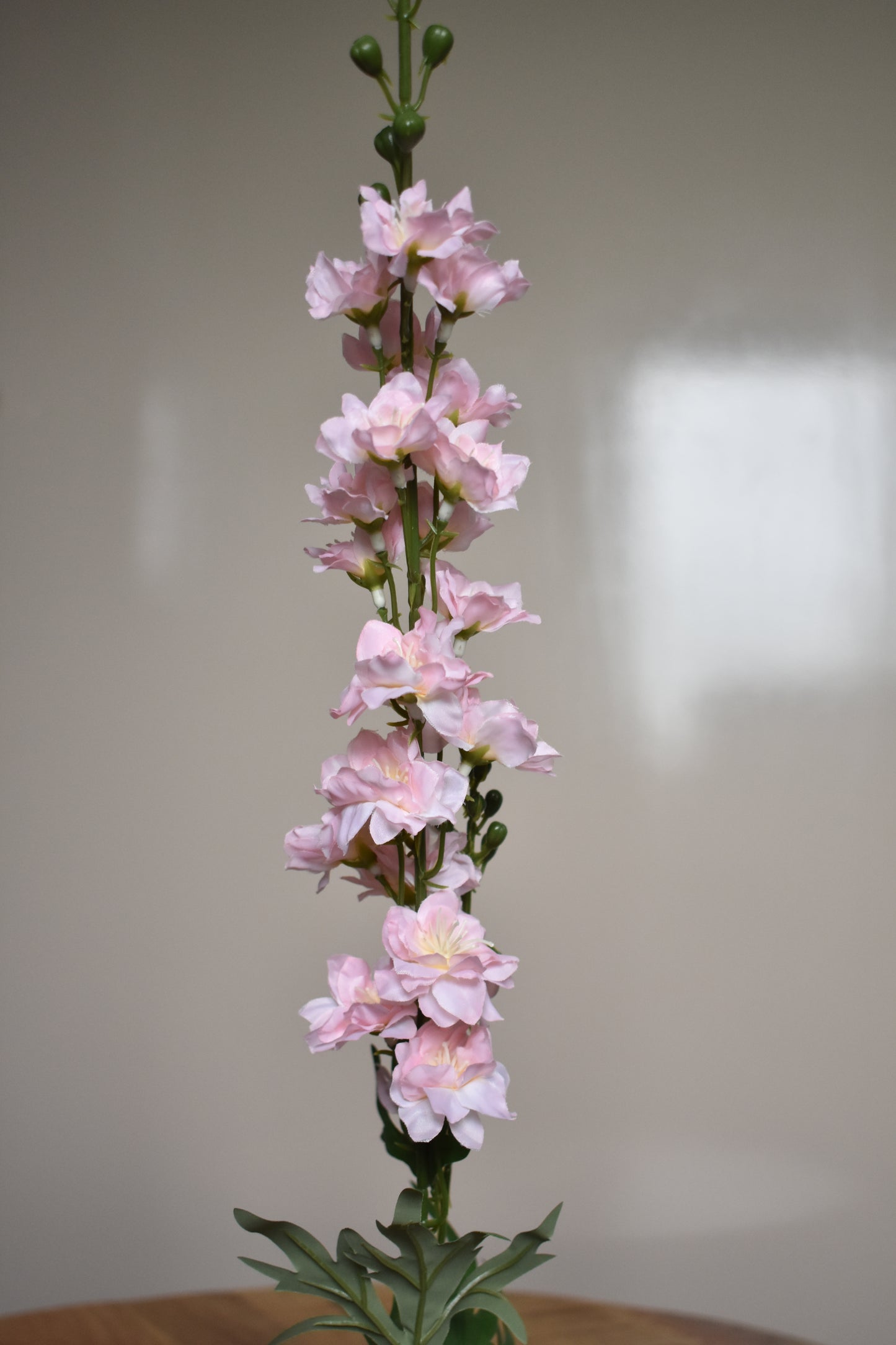 Delphinium roze – Ø8 x H78 cm