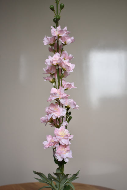 Delphinium roze – Ø8 x H78 cm