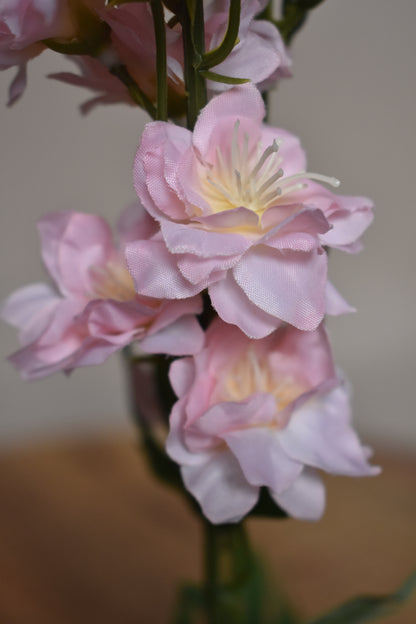 Delphinium roze – Ø8 x H78 cm
