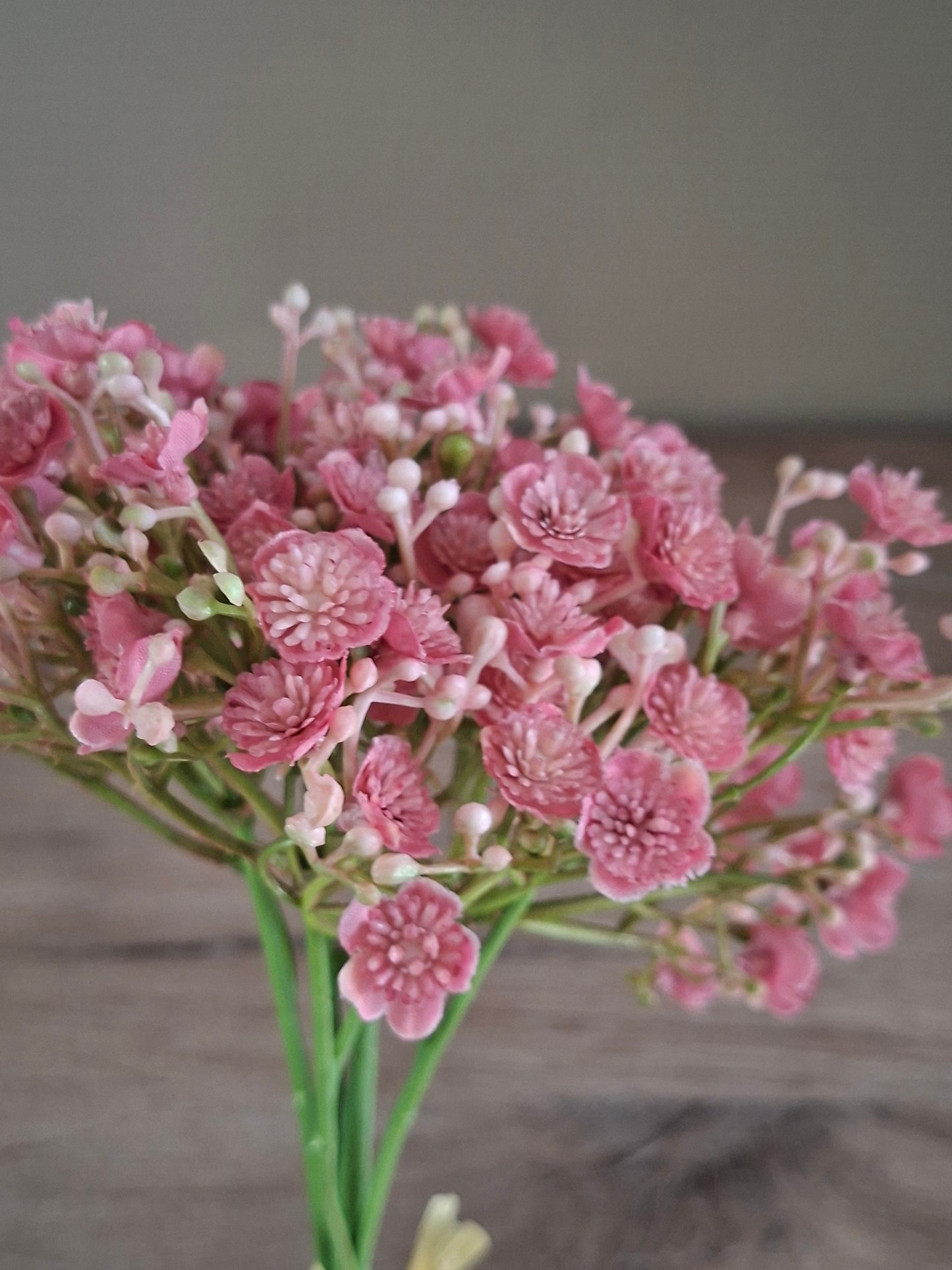 Gypsophila bundel oudroze L28 cm – elegant en stijlvol woonaccent