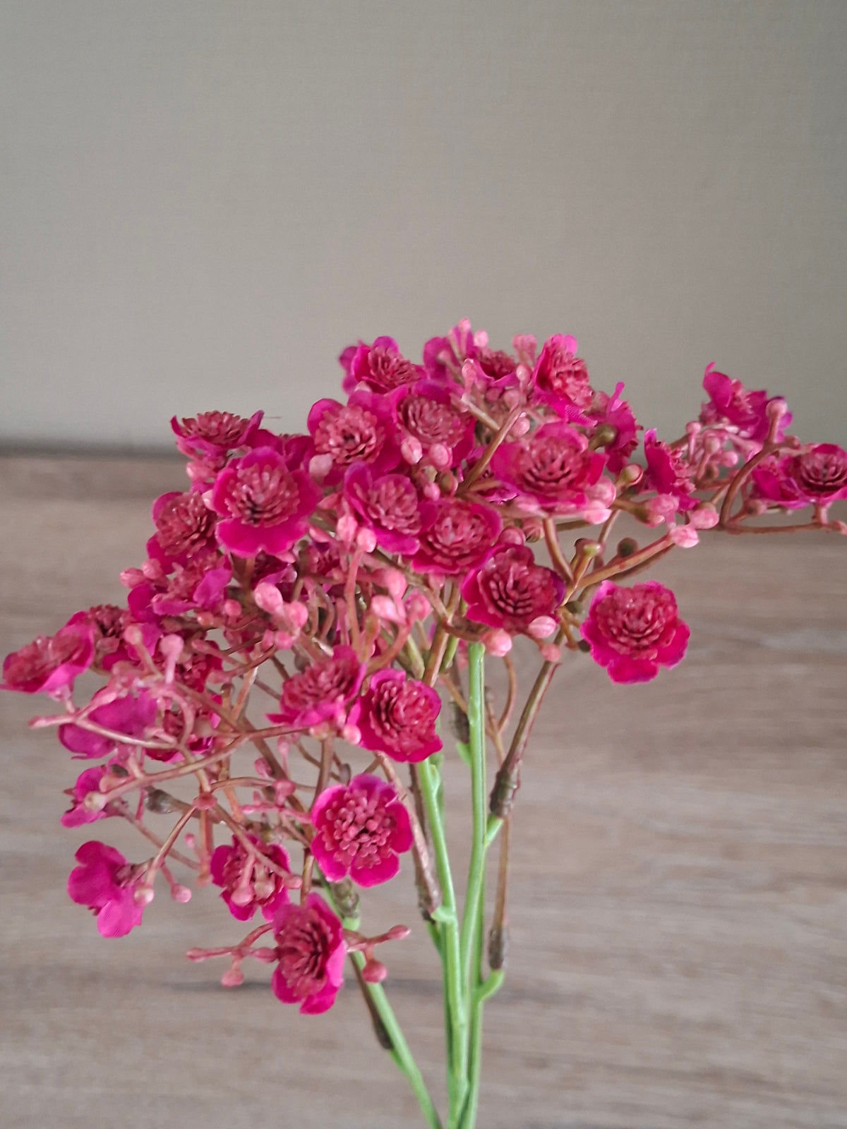 Gypsophilia Burgundy – Luxe kunstbloem voor vaas en boeket