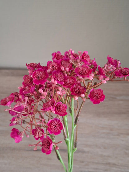 Gypsophilia Burgundy – Luxe kunstbloem voor vaas en boeket