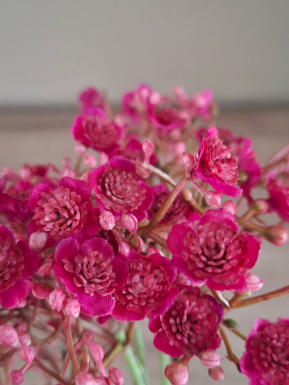 Gypsophilia Burgundy – Luxe kunstbloem voor vaas en boeket