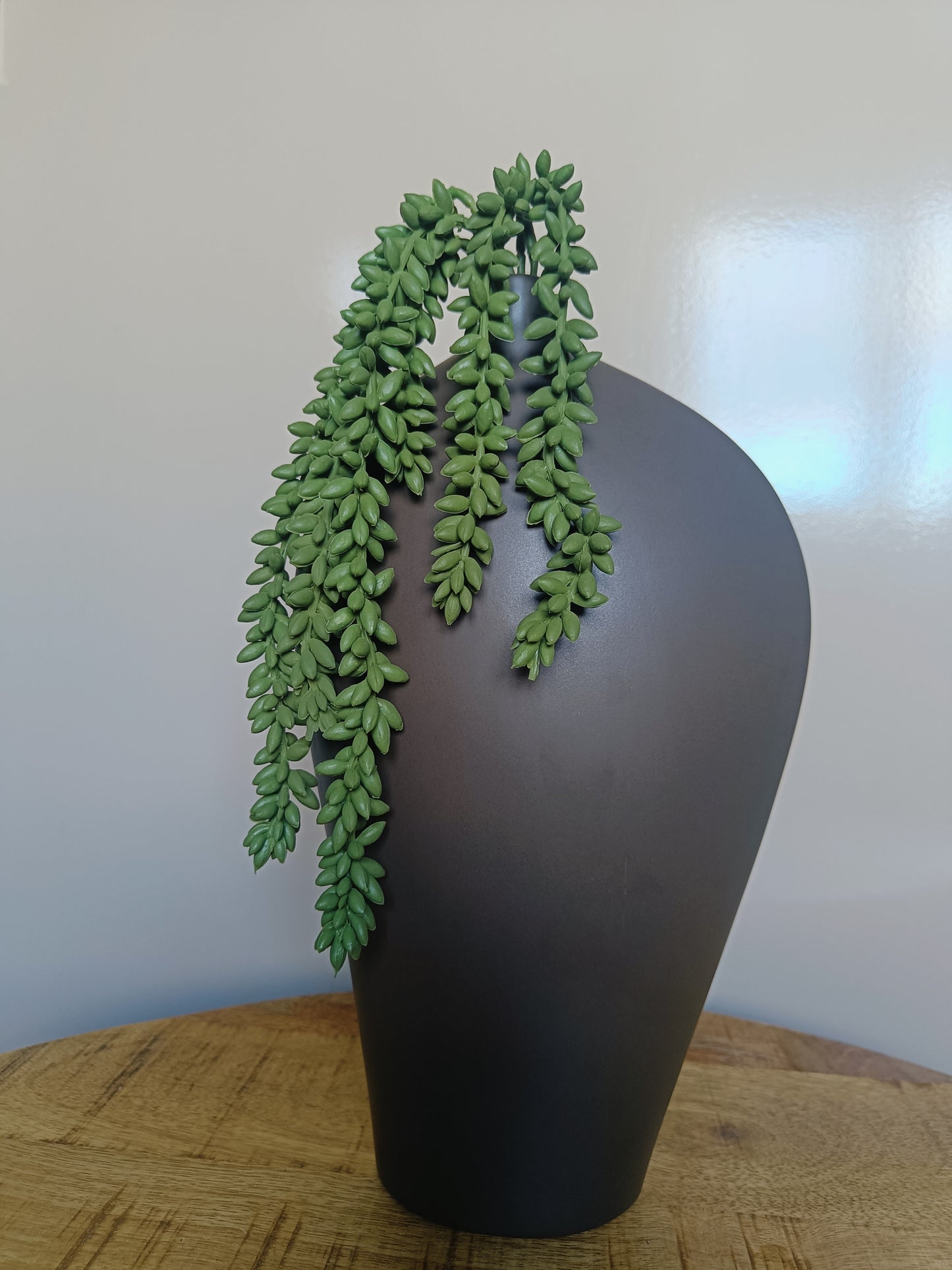 Smalle bruine vaas met erwtplantje L15 x B5 x H31 cm